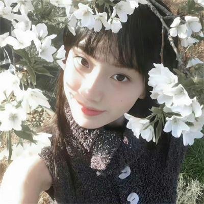 精灵高中:鬼魂高中